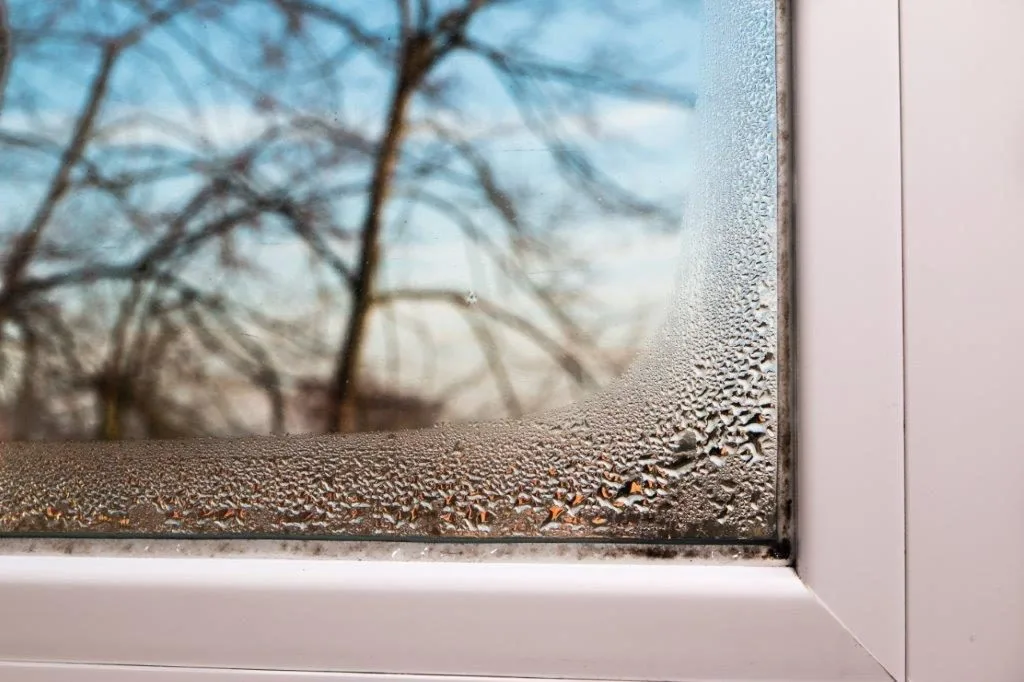 Without Dehumidification System